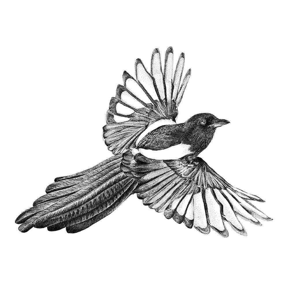 Flying Magpie Wall Sticker