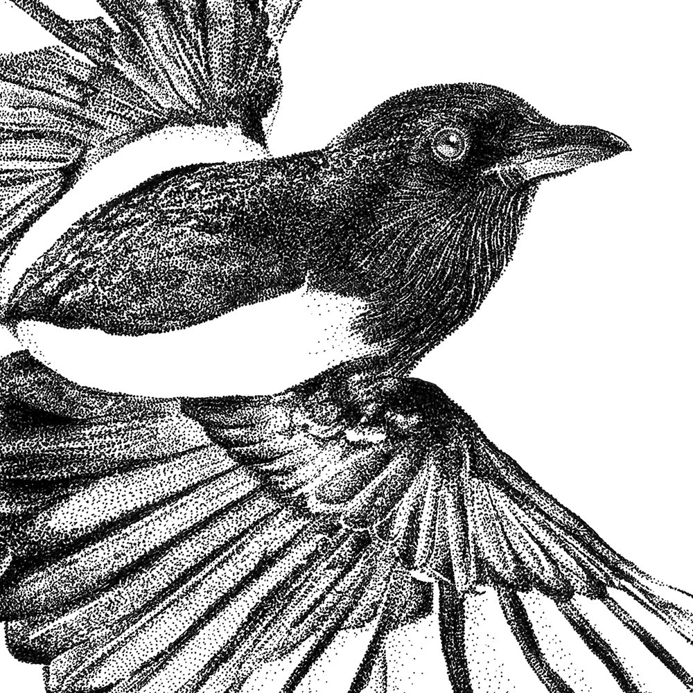 Flying Magpie Wall Sticker