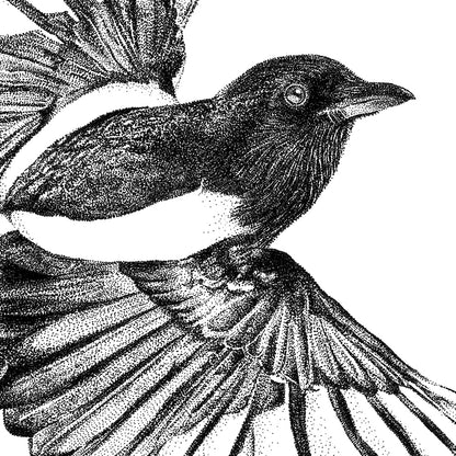 Flying Magpie Wall Sticker